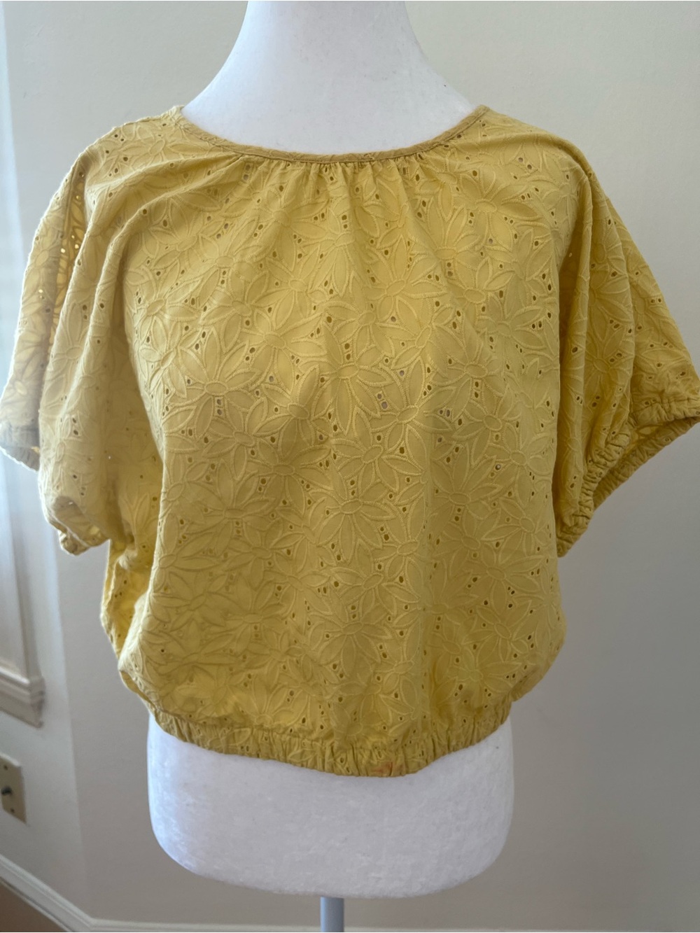 Madewell Women's Eyelet Cropped Short Sleeve Top - Yellow, Size S